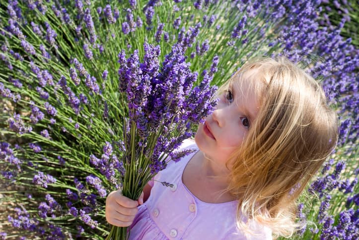 nature names for girls lavender