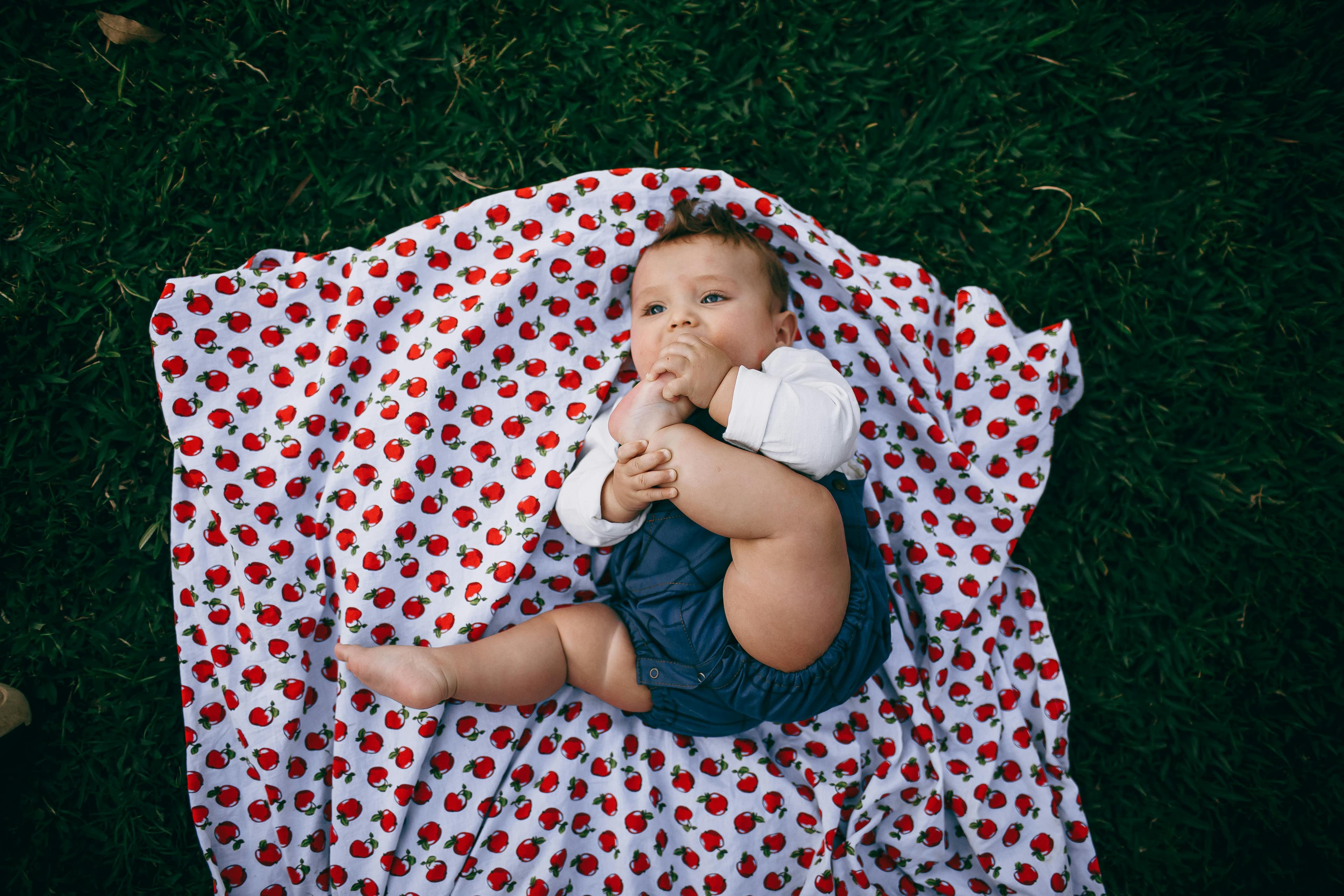 pexels-wildlittlethingsphoto-27175686